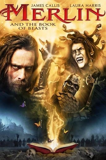 Merlin and the Book of Beasts Image