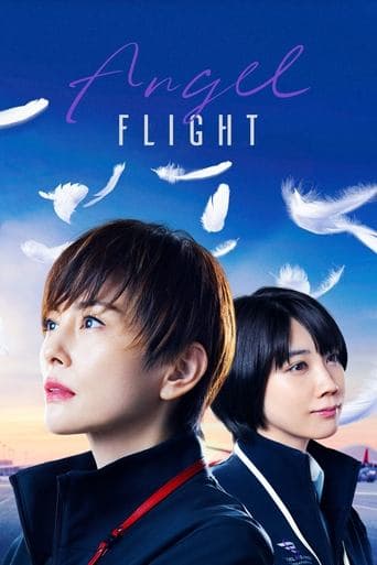 Angel Flight Image