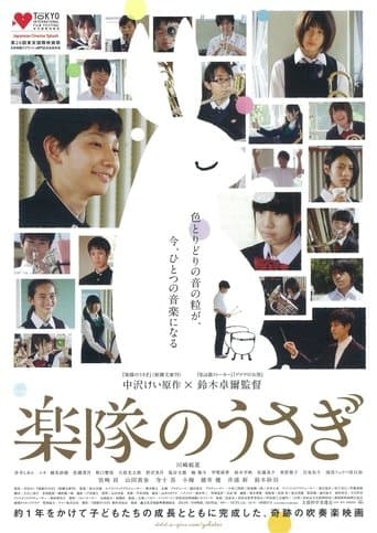 A Band Rabbit and a Boy Image