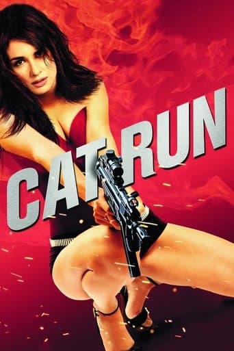 Cat Run Image