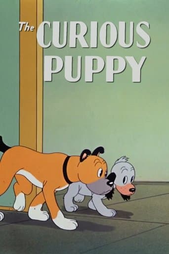 The Curious Puppy Image