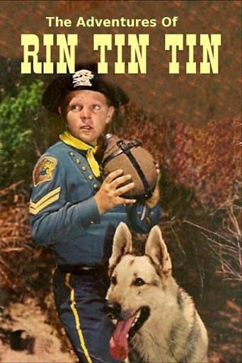 The Adventures of Rin Tin Tin Image