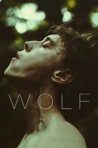 Wolf Image