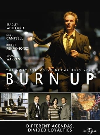 Burn Up Image