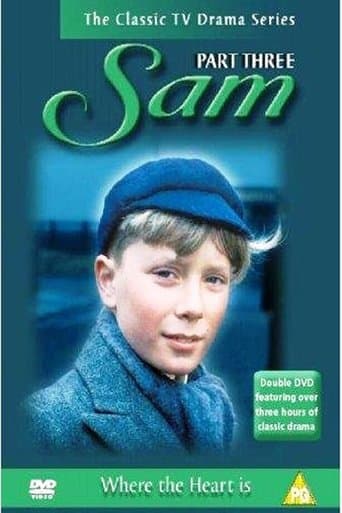 Sam Image