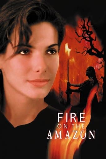 Fire on the Amazon Image