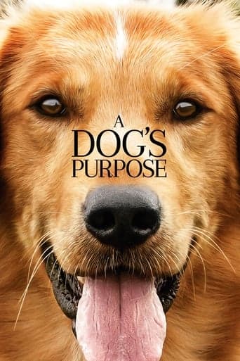 A Dog's Purpose Image