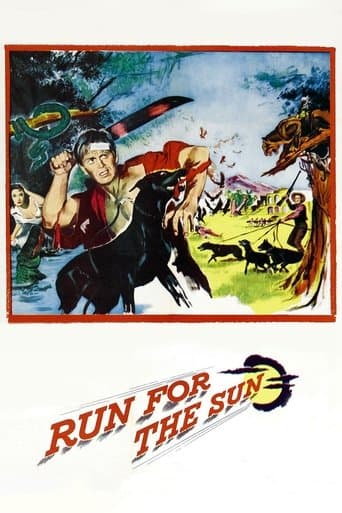 Run for the Sun Image