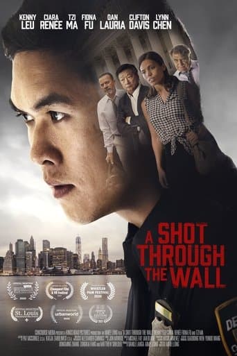 A Shot Through the Wall Image