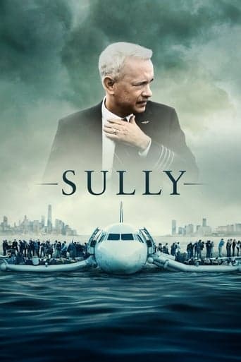 Sully Image