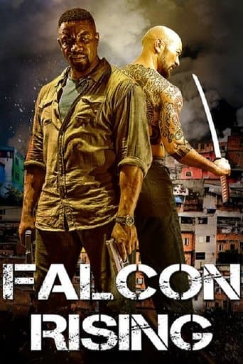 Falcon Rising Image