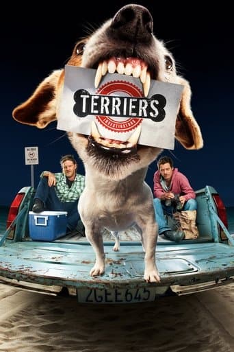 Terriers Image