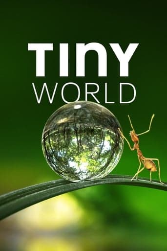 Tiny World Image