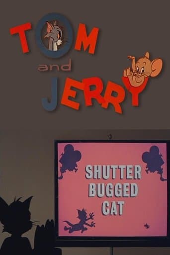 Shutter Bugged Cat Image