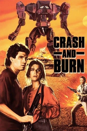 Crash and Burn Image