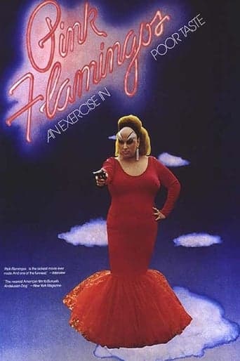 Pink Flamingos Image