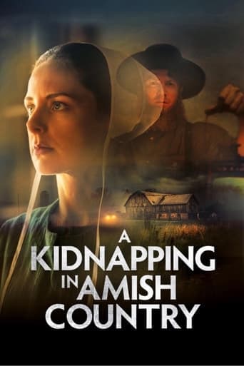 A Kidnapping in Amish Country Image