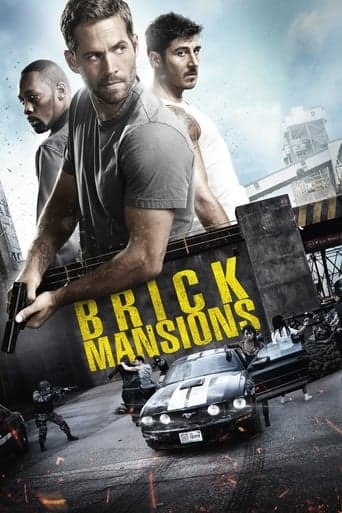 Brick Mansions Image