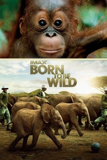 Born to Be Wild Image