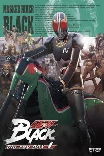 Black Kamen Rider Image