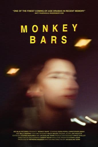 Monkey Bars Image
