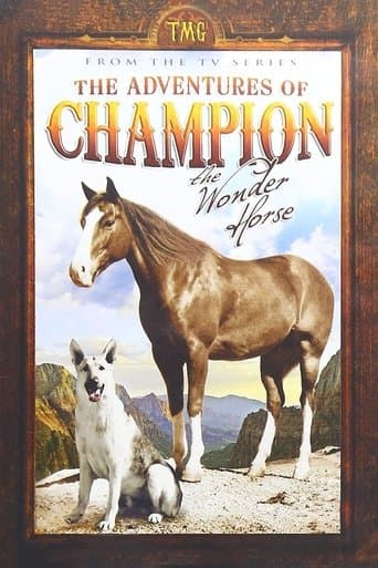 The Adventures of Champion Image