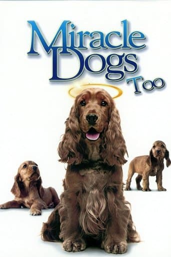 Miracle Dogs Too Image