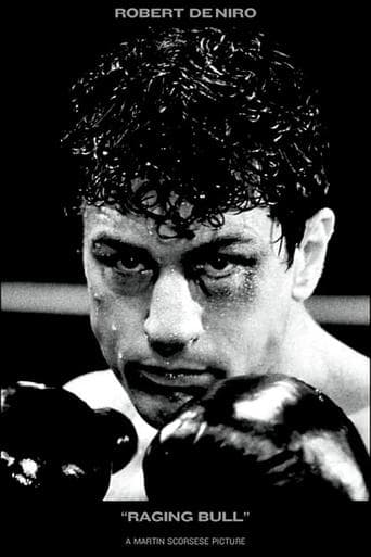 Raging Bull Image