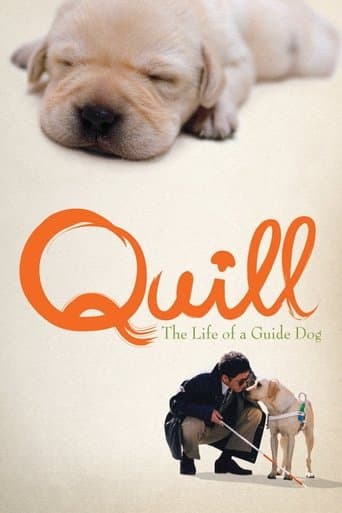 Quill:  The Life of a Guide Dog Image
