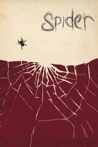 Spider Image