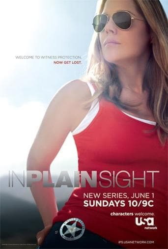 In Plain Sight Image