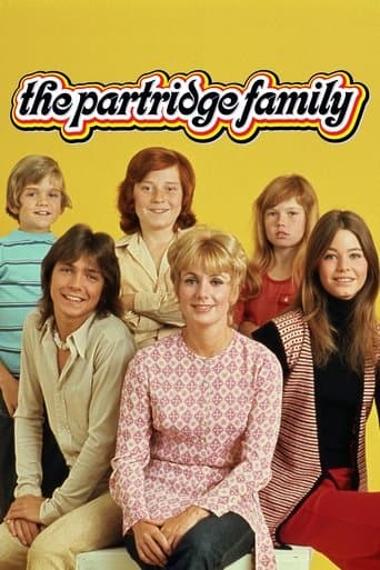 The Partridge Family Image