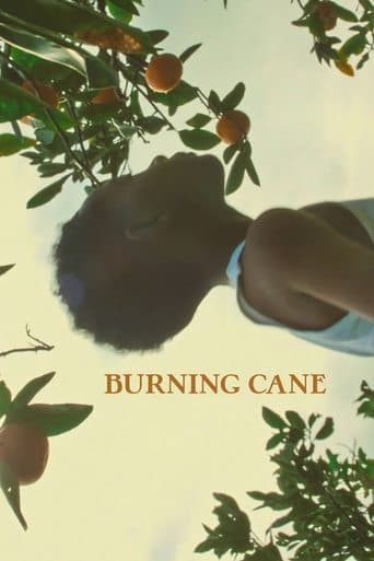Burning Cane Image
