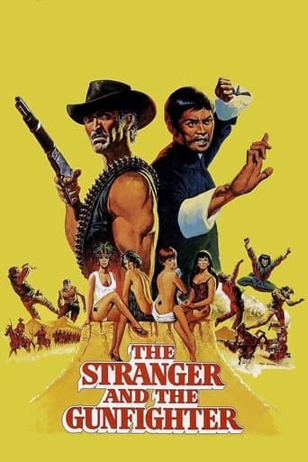 The Stranger and the Gunfighter Image