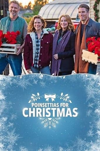 Poinsettias for Christmas Image