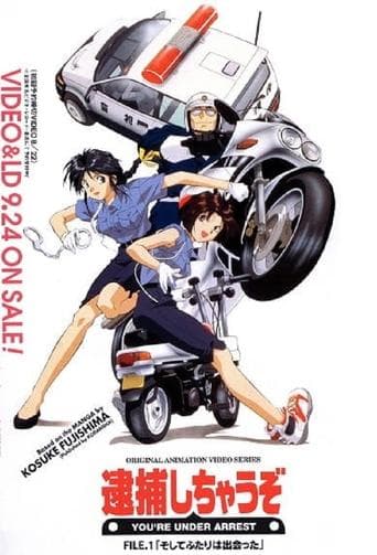 You're Under Arrest Image