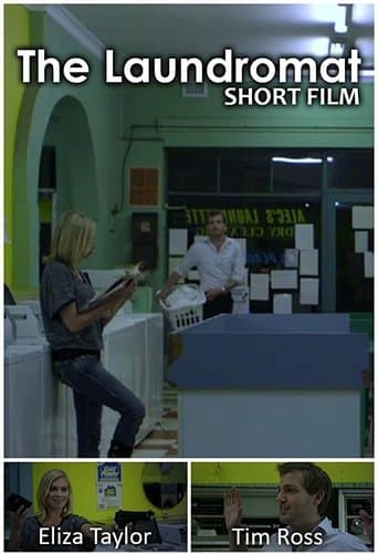 The Laundromat Image