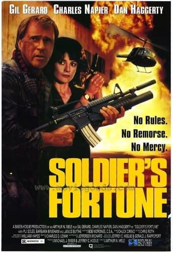 Soldier's Fortune Image