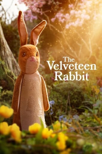 The Velveteen Rabbit Image