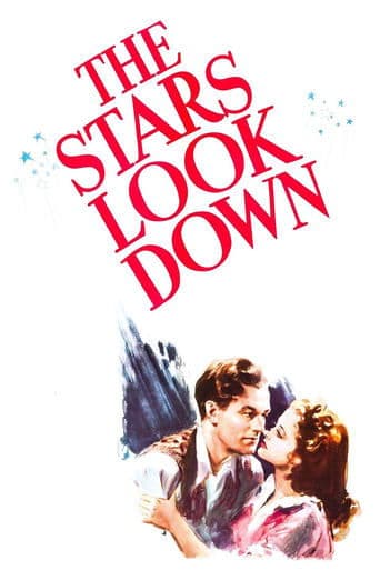 The Stars Look Down Image