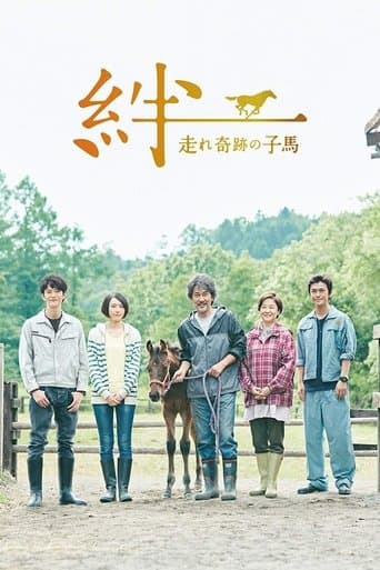 Ties: A Miraculous Colt Image