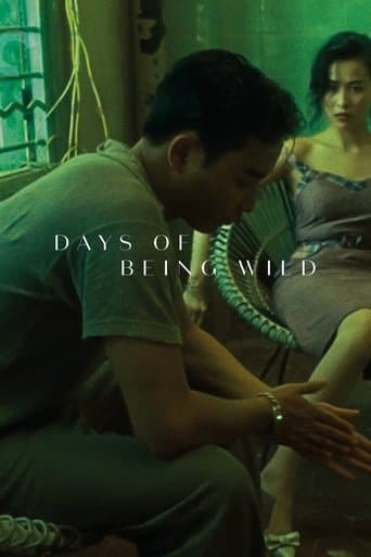Days of Being Wild Image
