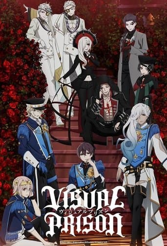 Visual Prison Image