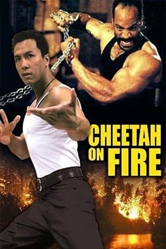 Cheetah on Fire Image