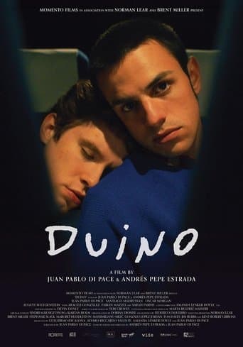 Duino Image
