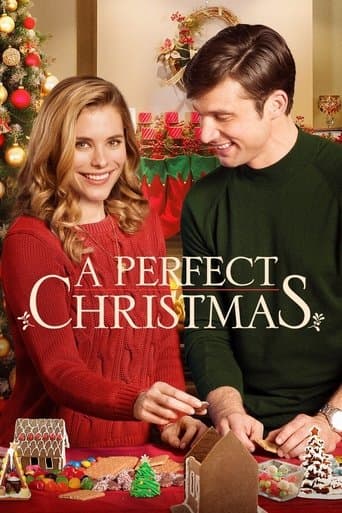 A Perfect Christmas Image