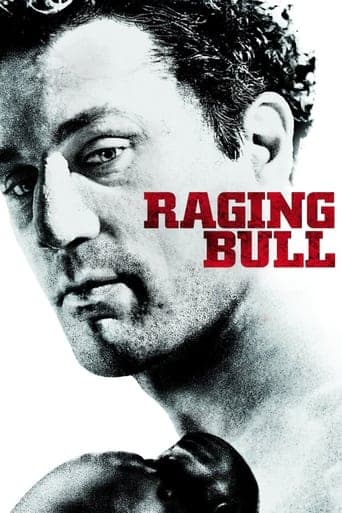 Raging Bull Image