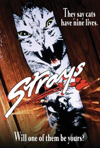 Strays Image