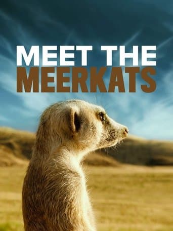 Meet The Meerkats Image