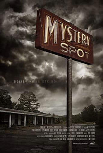 Mystery Spot Image